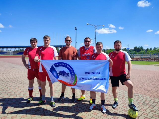 Спартакиада среди организаций Оршанского района